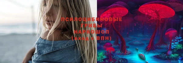 2c-b Гусиноозёрск