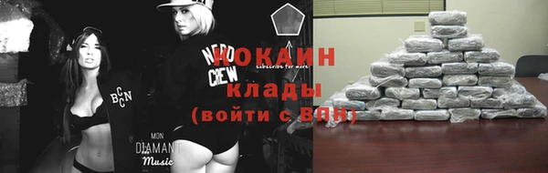 ГАЛЛЮЦИНОГЕННЫЕ ГРИБЫ Горно-Алтайск