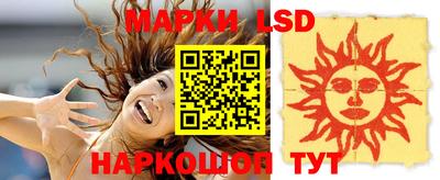 прущие грибы Пушкино
