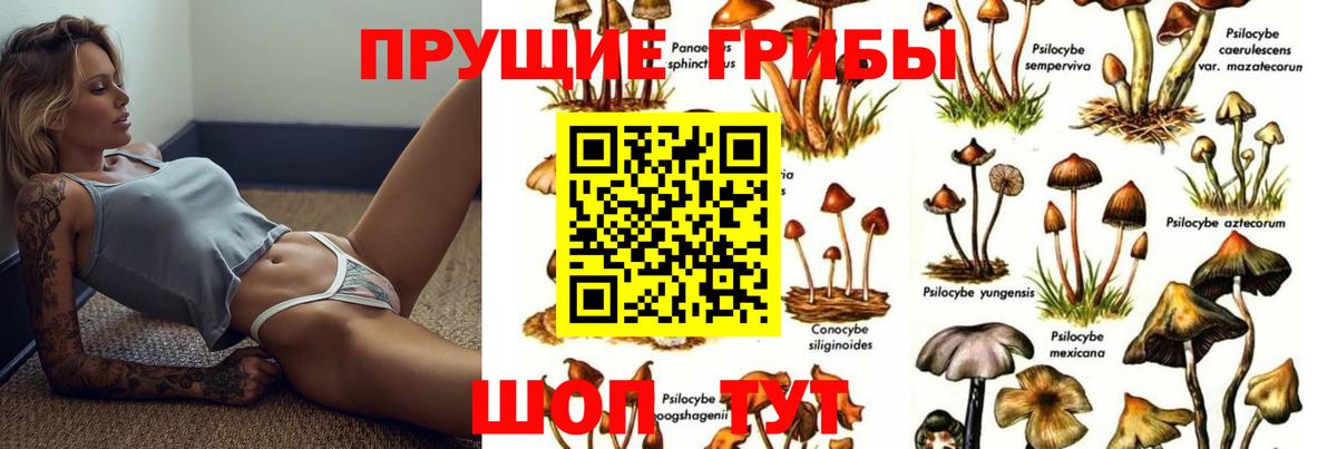 Псилоцибиновые грибы мицелий Глазов